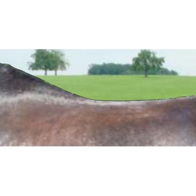 Amerigo Classic Pinerolo - Billede 2