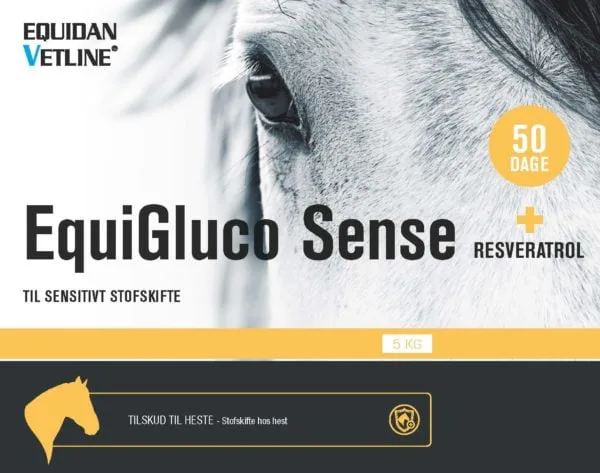 EquiGluco-Sense