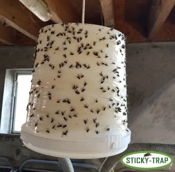 sticky-hvid