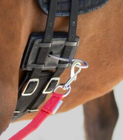 equibend longerings hjælp