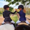 ikonic pony spring stemning