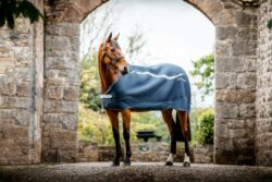 horseware liner navy silver 50gram